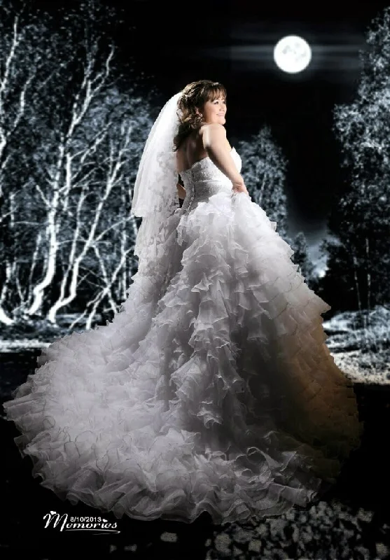 Wedding dresses with beaded bodice for sparkle -Radiant Enchantment Ball Gown